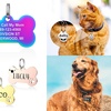 Image 11: Personalized Pet Tag
