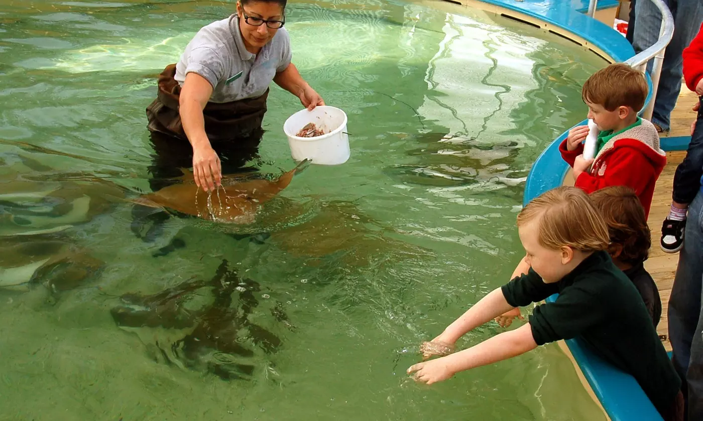 Single Day General Admission Tickets for Up to Two Adults or Three Children at Alabama Aquarium (Upto 36% Off) - Primary Image