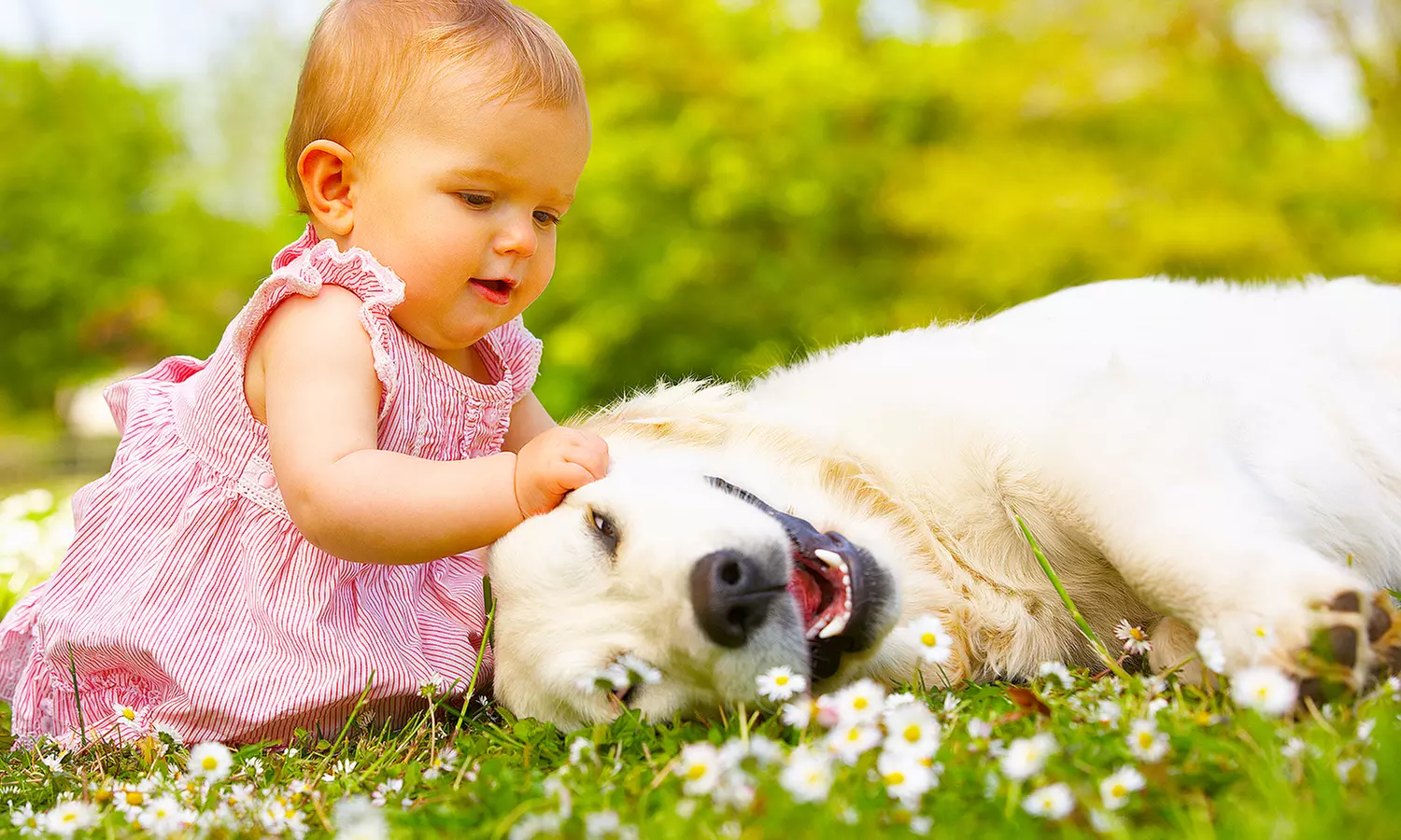Crea recuerdos con una sesión de fotos para 1 persona, familia o bebés