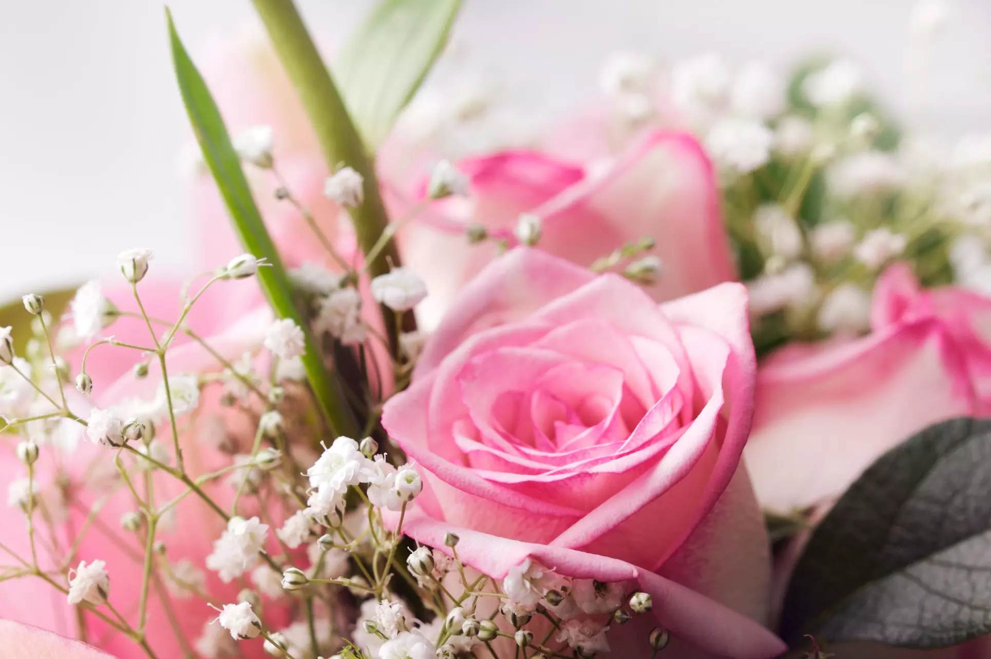 Day-of Wedding Coordination from Serendipity Weddings and Events (45% Off) - Primary Image