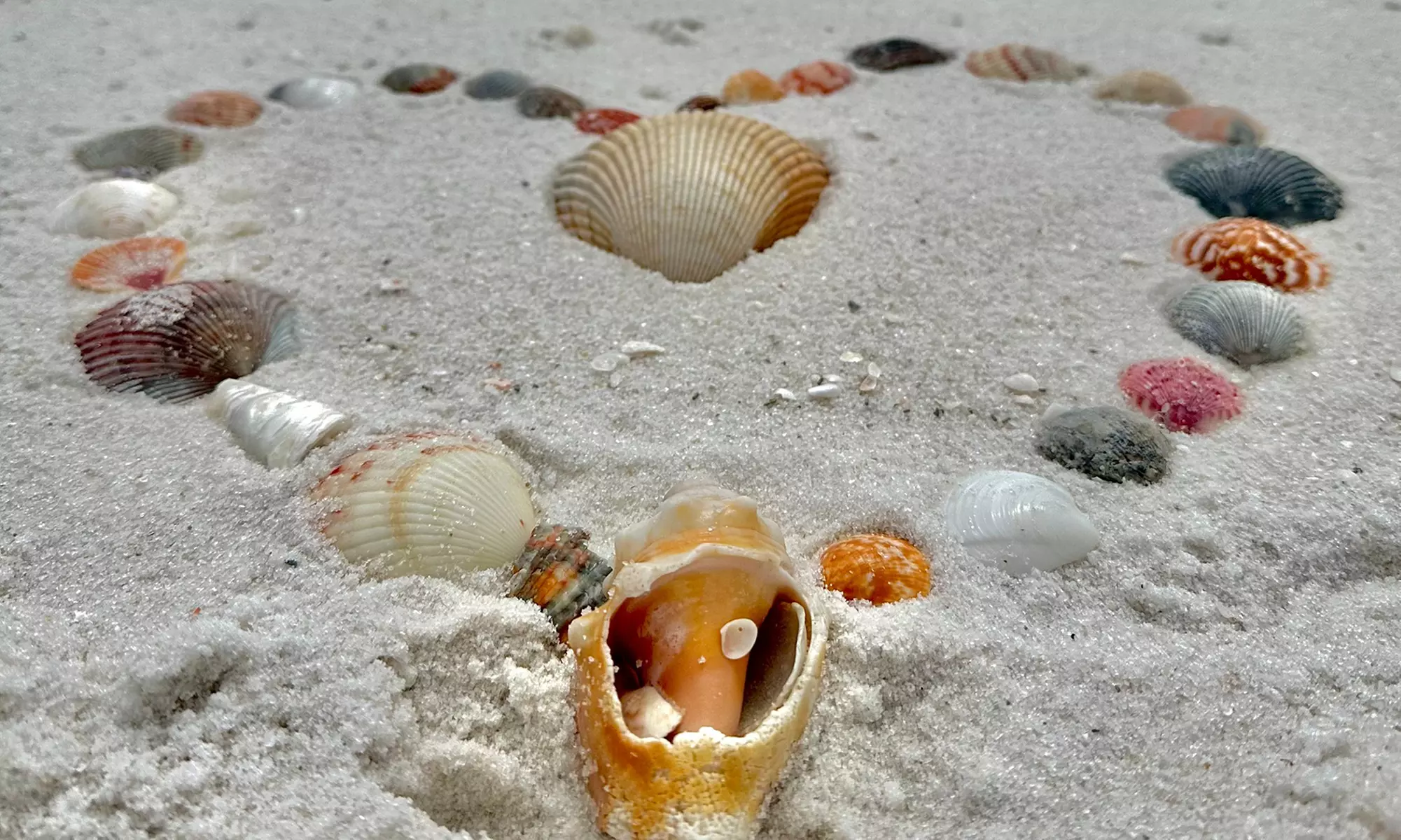 Capture Stunning Photos: Two or Four-Hour Emerald Coast Photo Safari