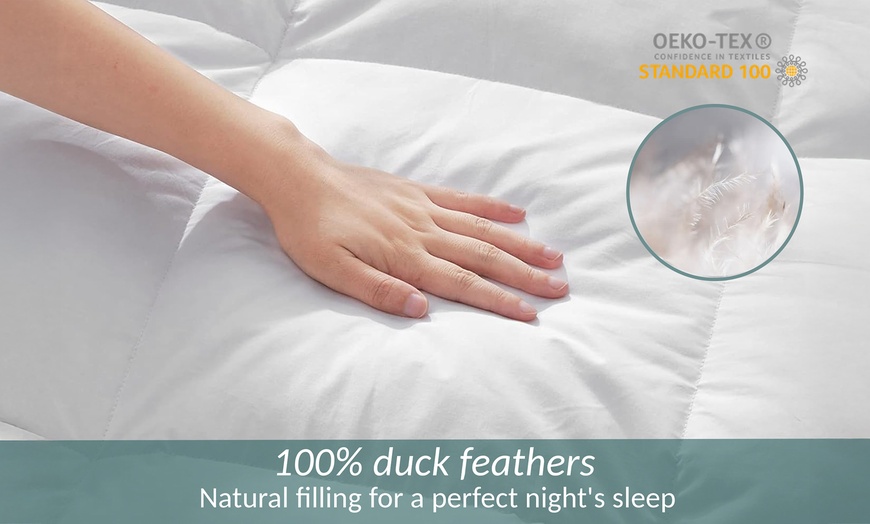 Image 6: Sampur Bettdecke 100% hochwertige Federn, leicht, 200 g/m²