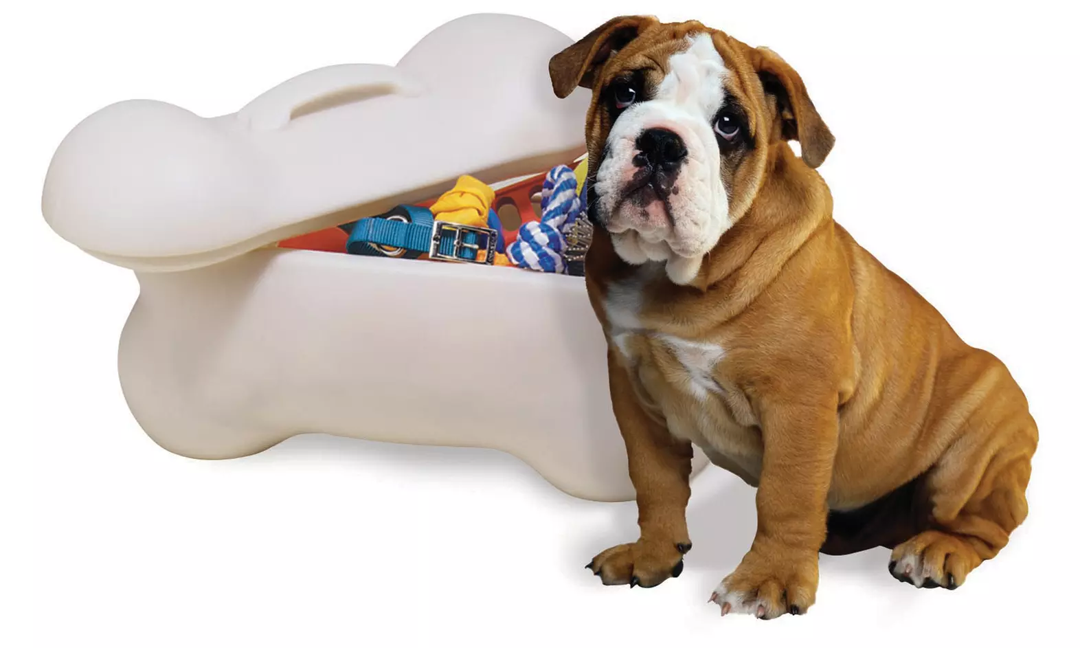 Bone-Shaped Storage Bins for Pets - Primary Image