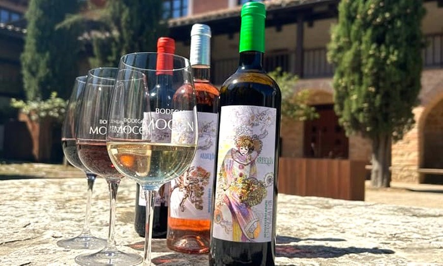 Image 7: Visita guiada a bodega para 2 o 4 con cata de 3 vinos y aperitivo