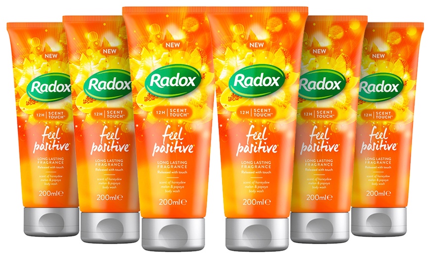 Image 9: Radox Body Wash Six-Pack