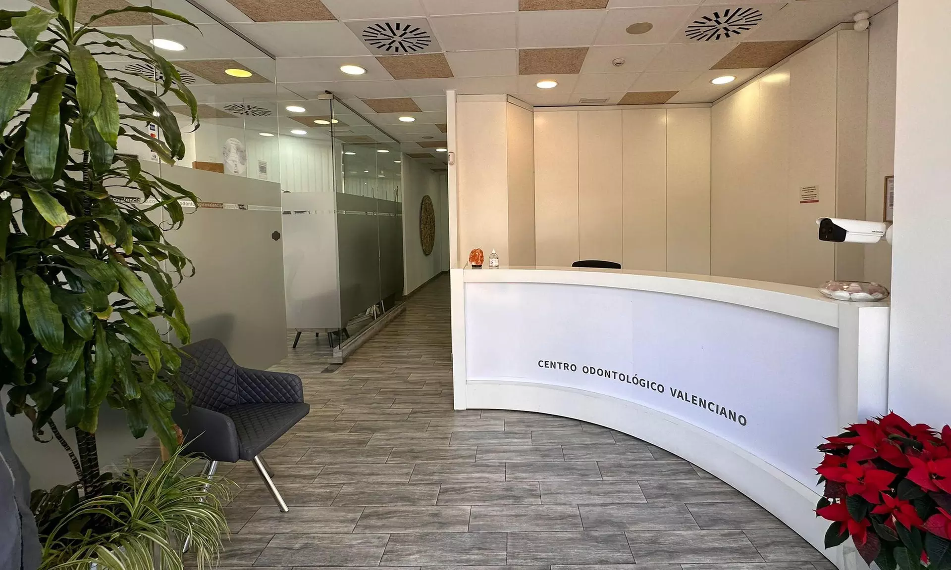 Limpieza bucal en Centro Odontológico Valenciano Plaza España