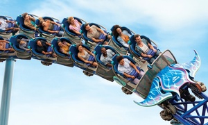 LIMITED TIME OFFER! SeaWorld San Diego Ticket Deals Up to 56% Off