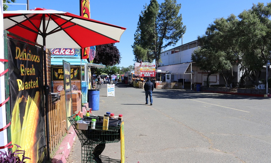 Image 10: Up to 39% Off Admission to BerryFest Strawberry Festival