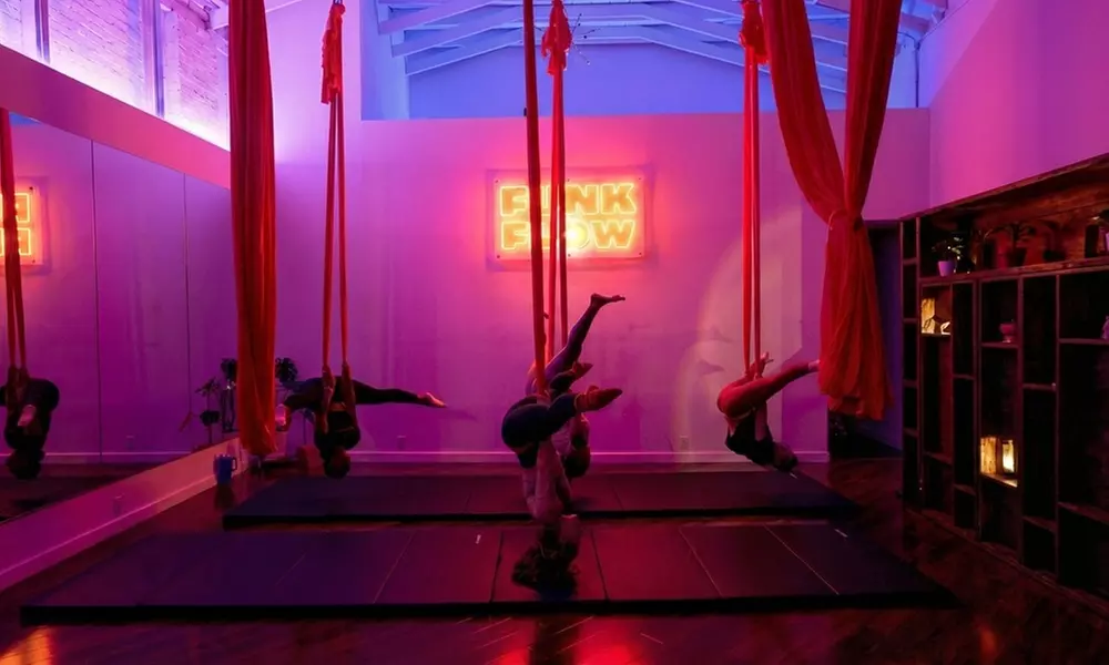 Aerial Fitness Experience – Dallas