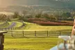 Experience Barrel Oak Winery's cellar tour & tasting for one or two people, with exclusive wines up to 35% off - Second Medium