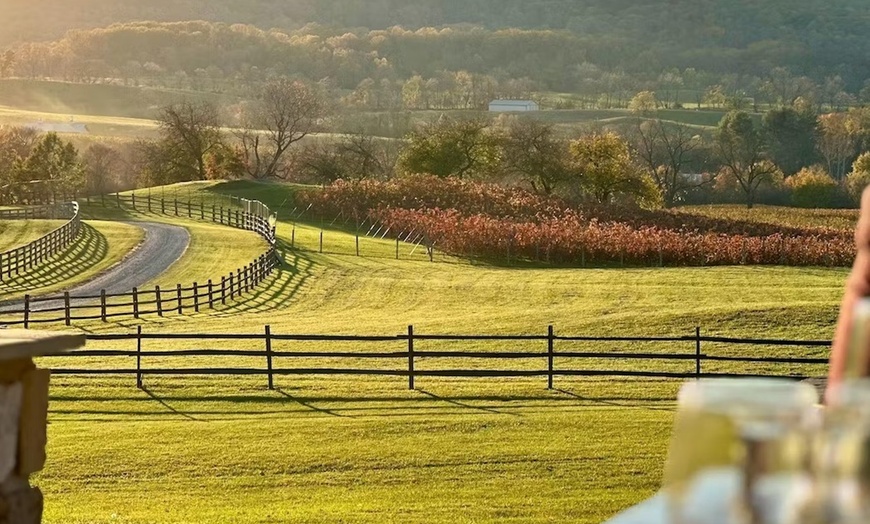 Image 2: Discover Hidden Wine Cellar Secrets with a Tour and Tasting