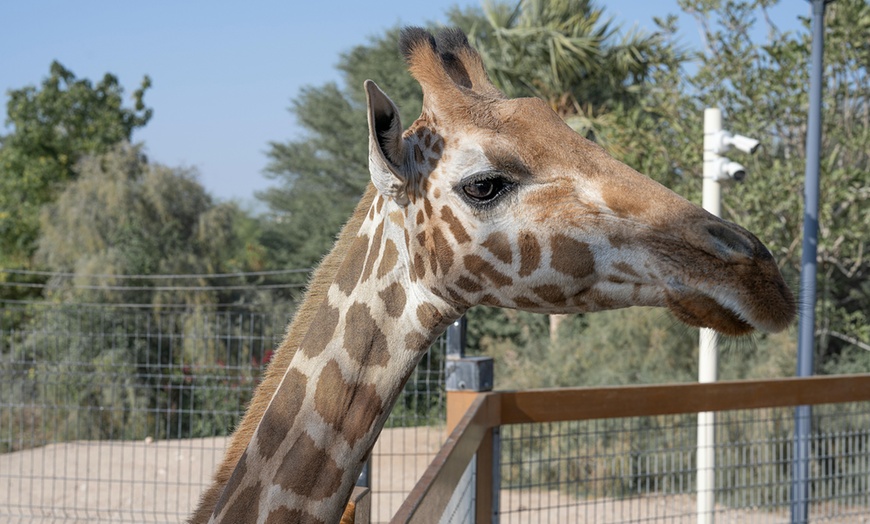 Image 7: Emirates Park Zoo, The National Aquarium or Snow Park Passes & More