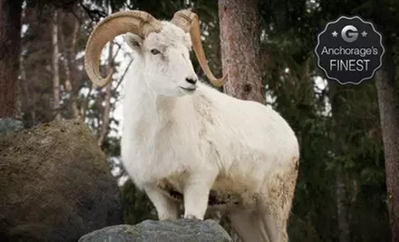 Visit for Two Adults or Two Adults and Up to Three Kids to The Alaska Zoo (Up to 55% Off) - Primary Image
