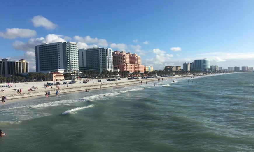 Image 13: Clearwater Beach Fun w/ Dolphin Sightings, Captain Memos & White Sands