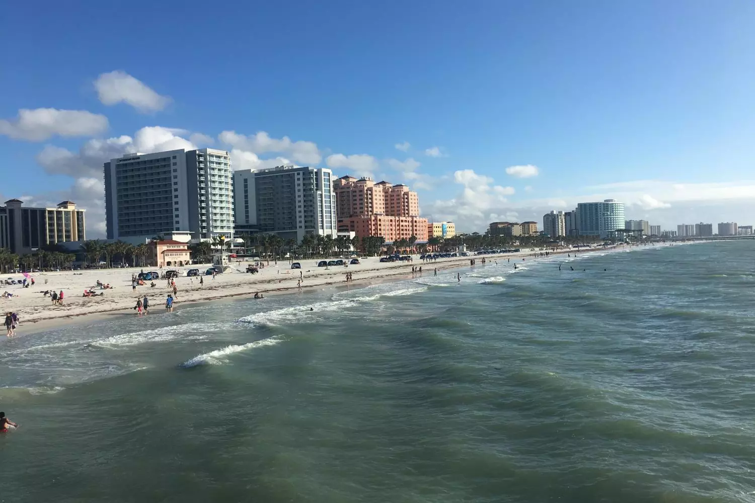Clearwater Beach Fun w/ Dolphin Sightings, Captain Memos & White Sands