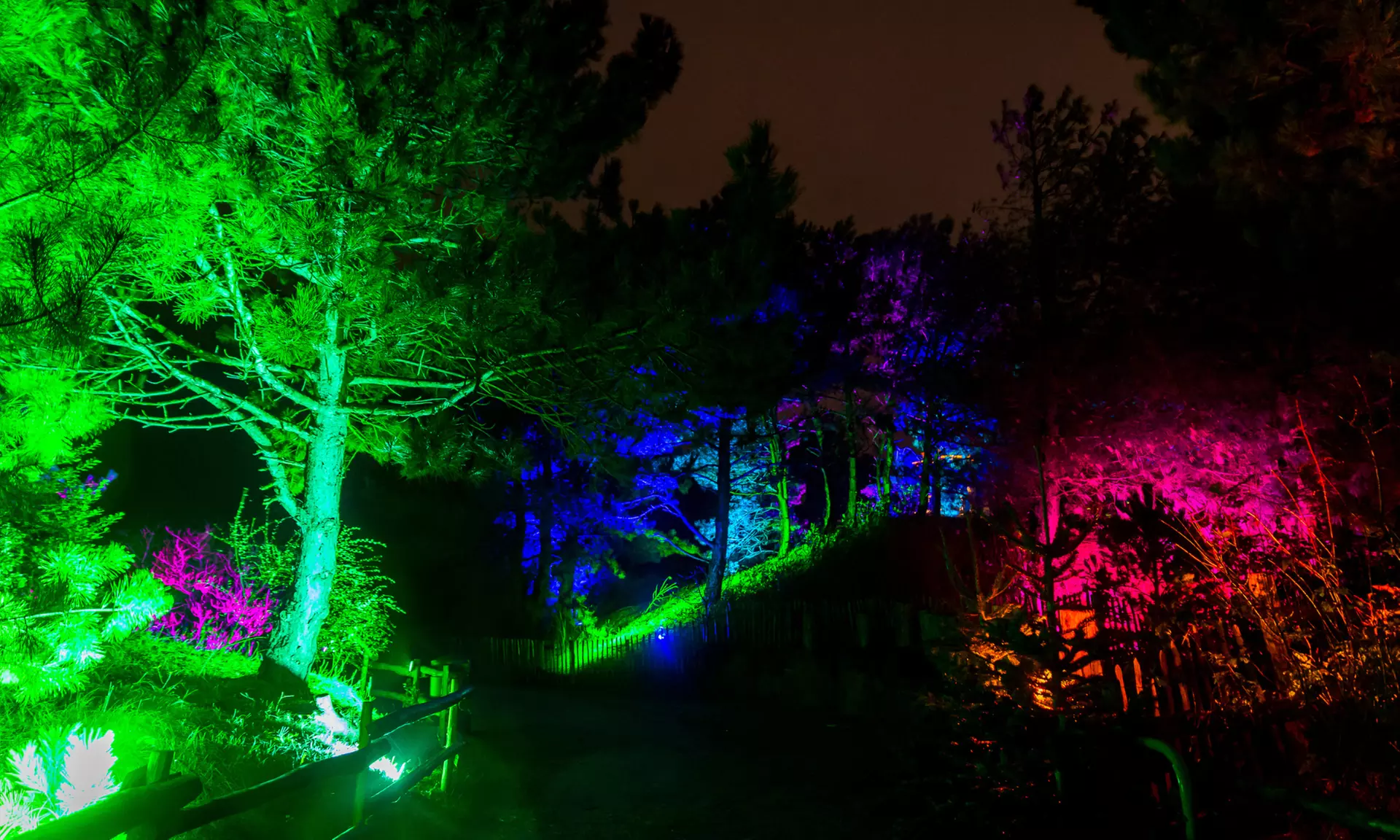 Einrittskarte "Dolfinarium" in Harderwijk, Niederlande für 1 Person