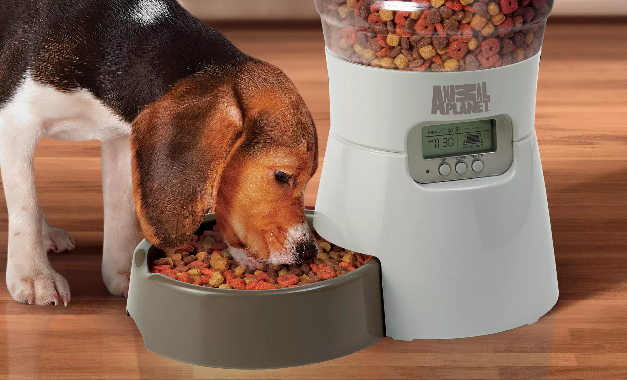 Animal Planet Automatic Pet Feeder - Primary Image