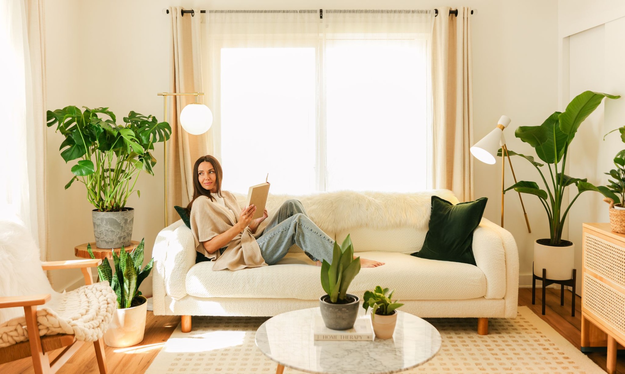 Lively Root Deal: Small Indoor Houseplant Collection with Eco-Pot Planter