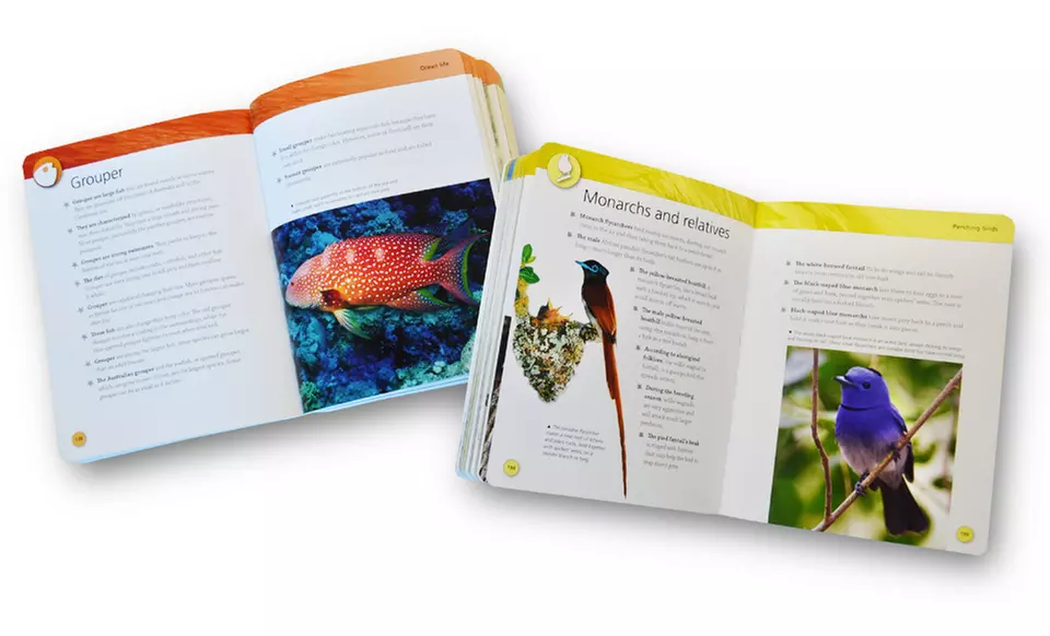 Kids' Mini Encyclopedia Set (8-Book) - Second Medium