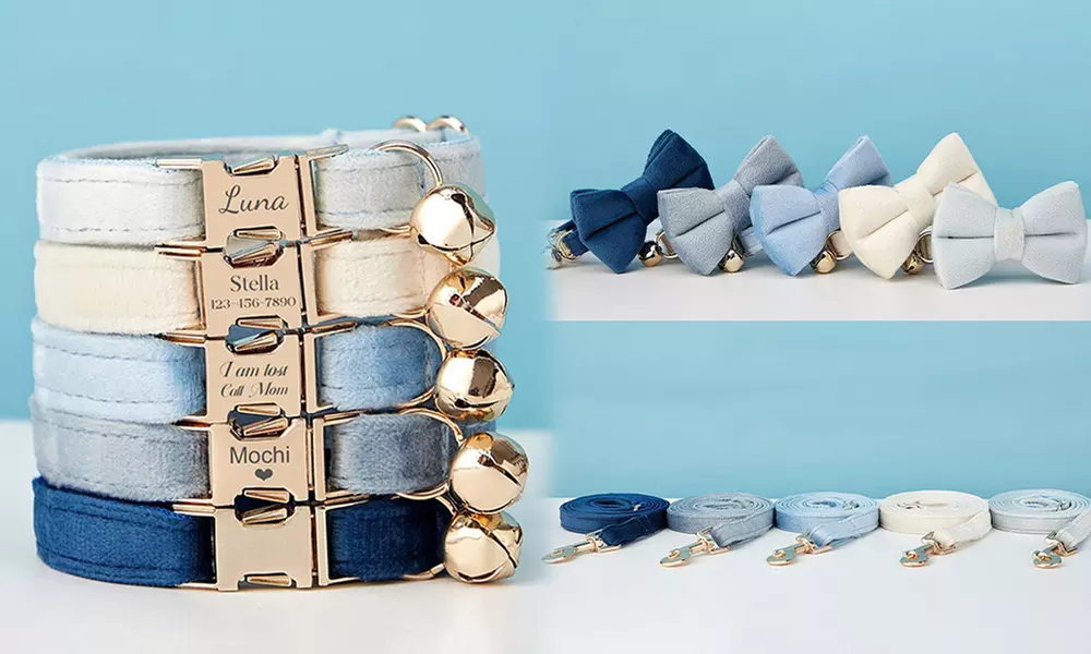 Grab paw-some Custom Pet Collars for your furry buddies