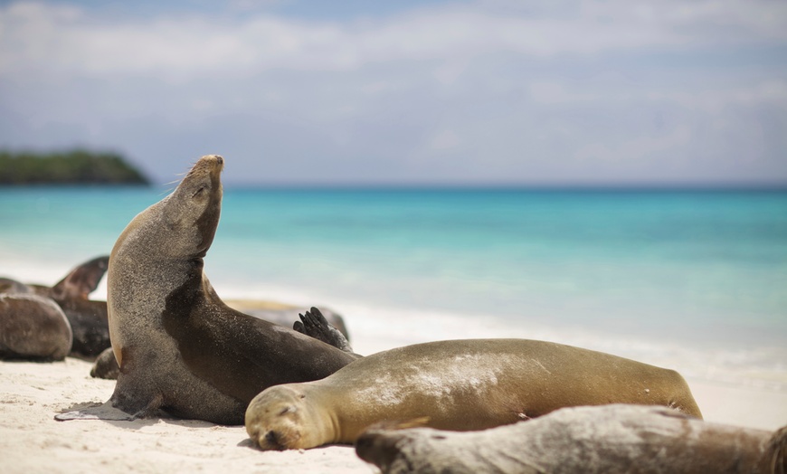 Ecuador and Galapagos Vacation with Airfare in - Galapagos Islands, EC ...