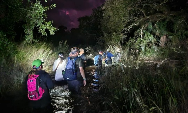 What to expect media