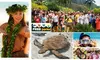 Best Full-Day Oahu Circle Island Tour with Snorkeling, 30+ Highlights + Free WiFi & Free Perks (Up to 62% Off)