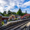 Image 9: North Yorkshire Moors Railway Day Rover Tickets: Up to 51% Off
