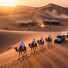 Image 1: Abu Dhabi Desert Safari+ Central/Home/Hotel Pickup–Dinner & Live Shows