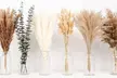 Natural Dried Flowers Pampas Grass Bunny Tails Bouquet Boho Wedding Table Decor - Second Medium