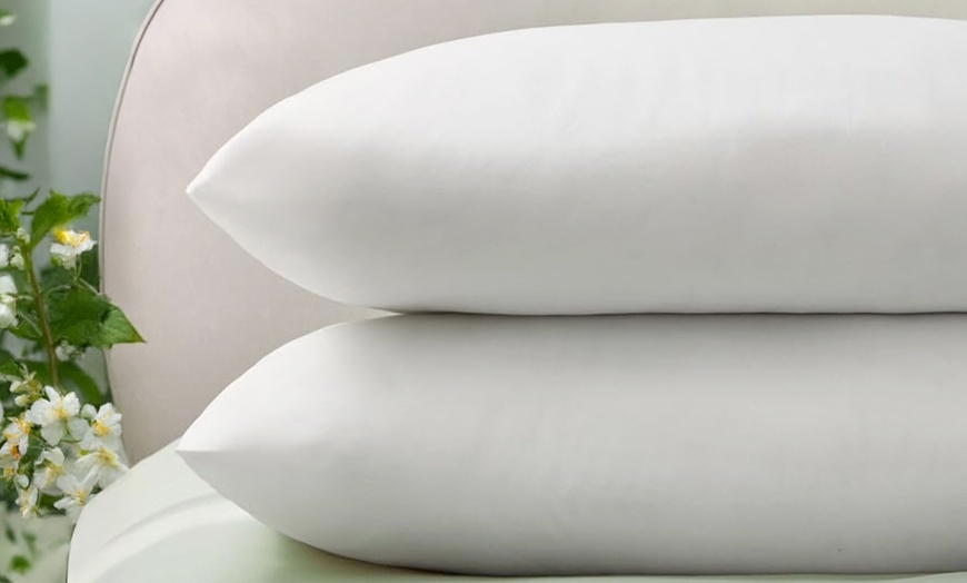 Image 2: Silentnight Forever Fresh Anti-Allergy Pillows