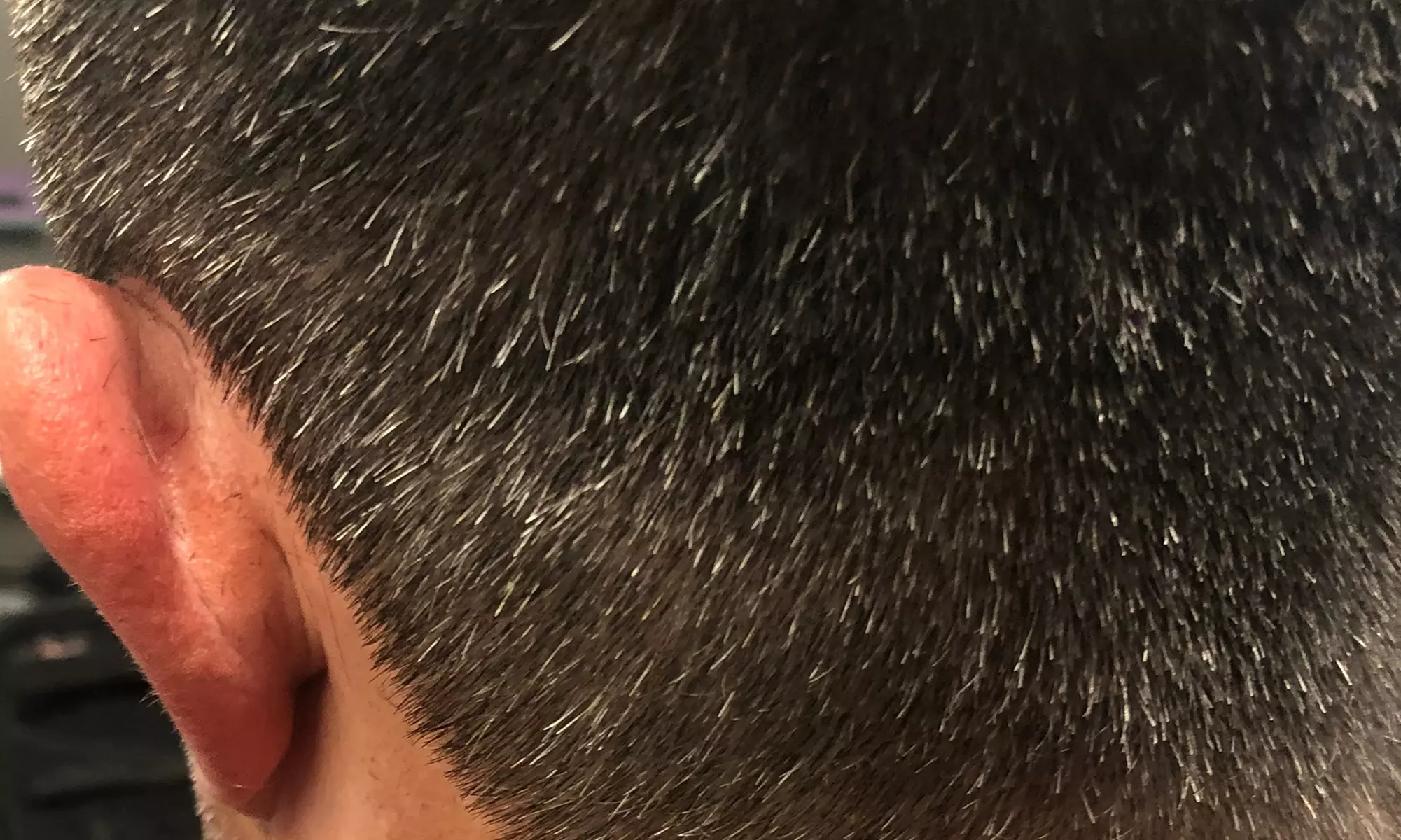 Buzz or Scissor & Clipper Cut for Adults – Clean, Easy Style