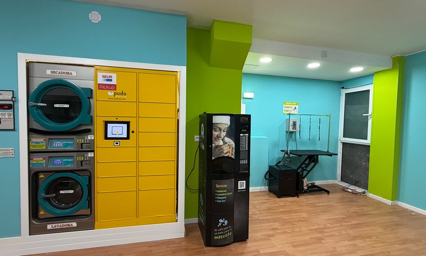 Image 5: Sesión de peluquería canina para perros hasta 6, 15 o 30 kg 