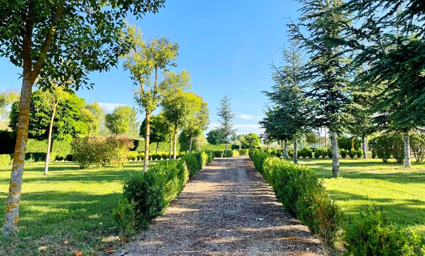 Image 9: La Rioja: 1 noche con desayuno y visita a bodega