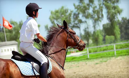 2 or 4 Private Riding Lessons or 4 or 8 Semiprivate Riding Lessons at Diamond Hill Equestrian Center (Up to 56% Off) - Primary Image