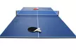Tavolo da ping-pong pieghevole senza gambe a 3 pannelli, con rete, racchette e palline, con spedizione gratuita - Image 2