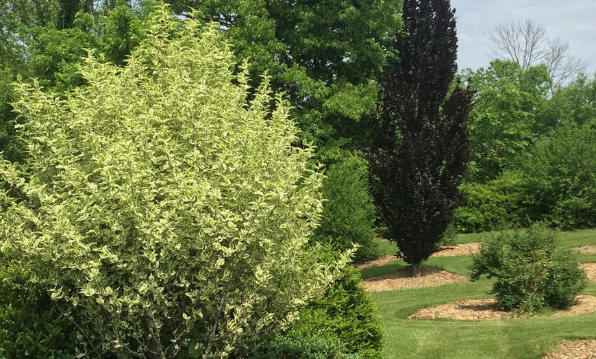 Image 4: Boone County Arboretum Membership: Your Gateway to Green Spaces
