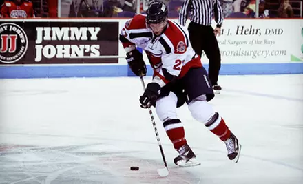 South Carolina Stingrays Game at North Charleston Coliseum (Up to 54% Off). Eight Options Available. - Primary Image