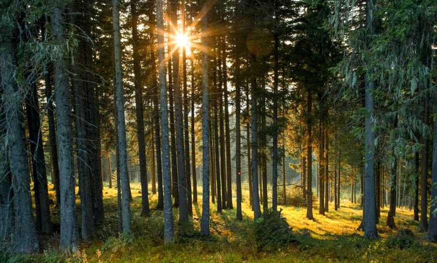 Image 21: Eberstein: 2-6 Nächte inkl. Halbpension und Parken