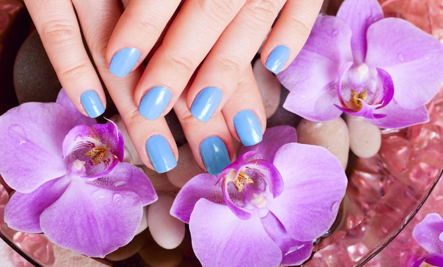 Shellac Nails K Nail Spa Groupon