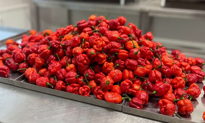 Image 6: Berlin Chili Fest Spring, Harvest oder Christmas für 1 Person