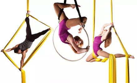 Classes or Kids' Activities at Aerial Arts of Rochester. Four Options Available. - Primary Image