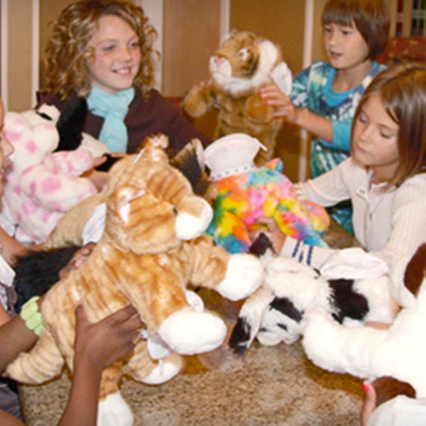 noah's ark teddy bear workshop