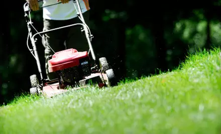 One, Three, or Five Lawn-Mowing Visits with Edging and Grass Blowing from Perennial Lawn & Landscape (Up to 69% Off) - Primary Image