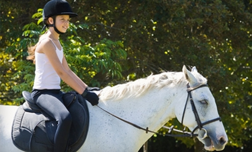 51% Off Horse-Riding Lessons in Chesterland - Summer Wind Stables | Groupon