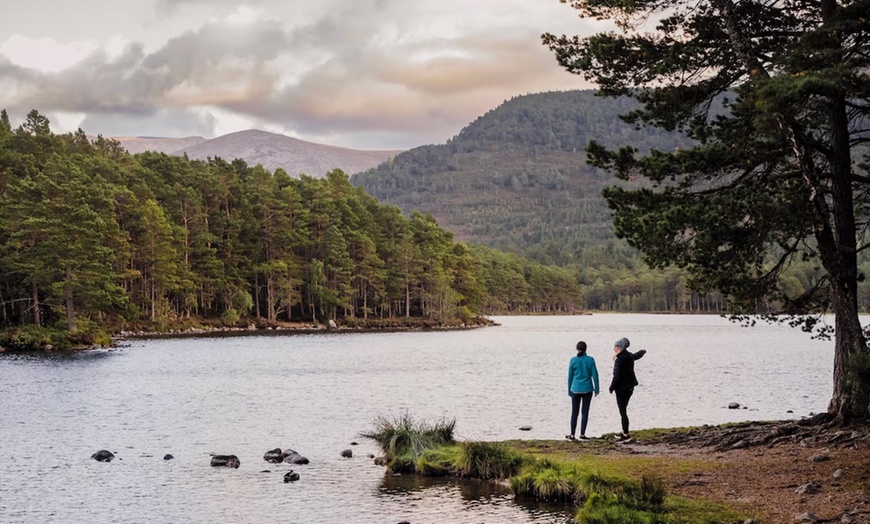 Image 6: Aviemore: Standard One or Two-Bedroom Cabin for Up to Four People