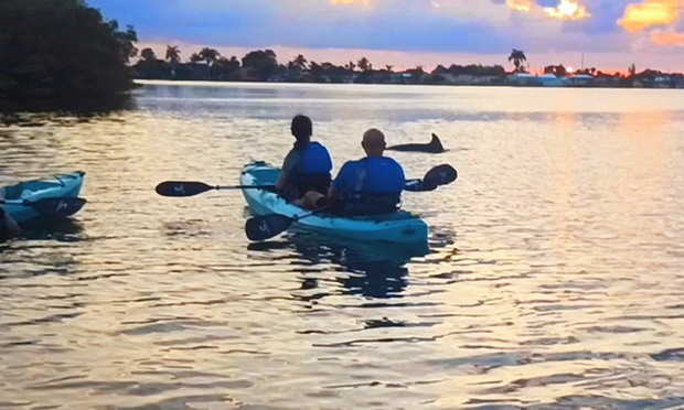 What to expect media