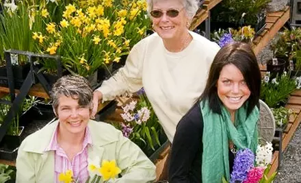 $15 for $30 Worth of Plants at Urban Oasis Garden Centre - Primary Image