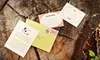 $10 for $20 Toward Invitations, Plus One Custom Stamp, or $10 for $20 Toward Furniture Rental from Three By the Quill Pen 