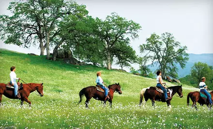 $20 for One-Hour Trail Ride at Wonder Valley Ranch Resort (Up to $40 Value) - Primary Image